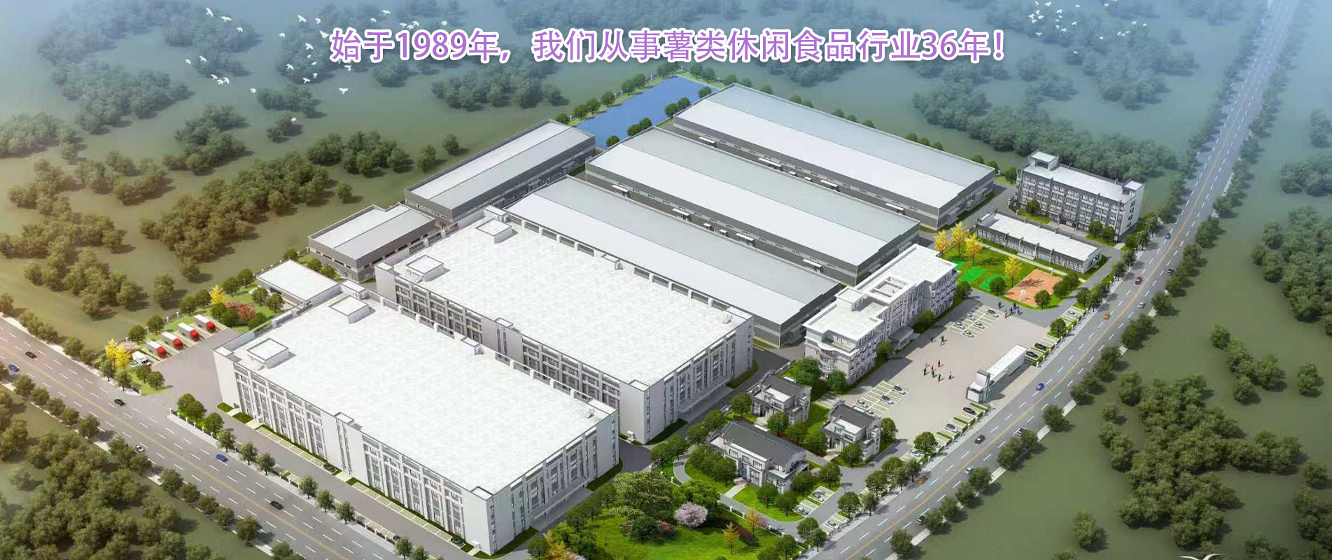 薯类休闲食品制造商