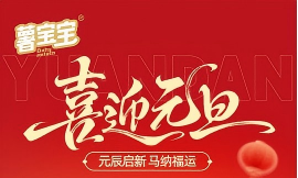 喜迎元旦，马到成功！